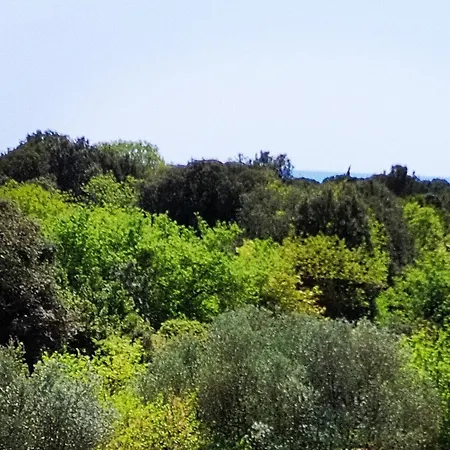 Vendégház Mareonda - Sussurro 4*